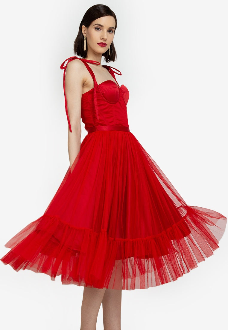 Bustier Mesh Tea-Length Dress